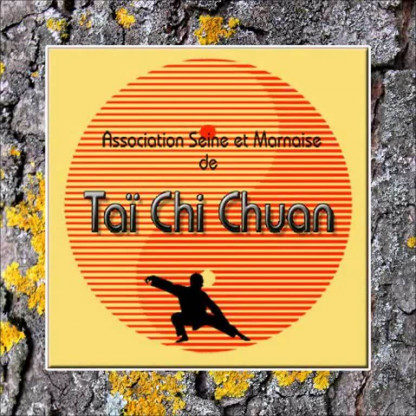 Le Tai Chi Chuan